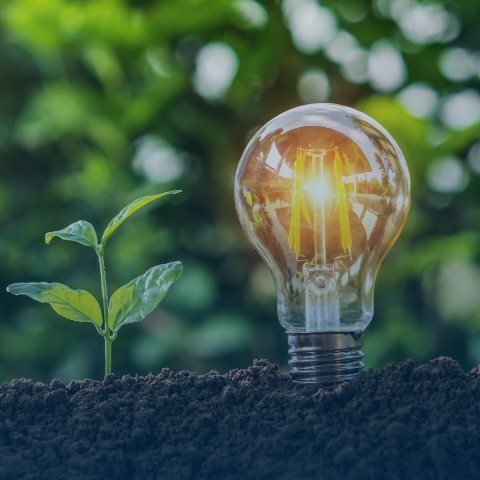 Ενεργειακές υπηρεσίες